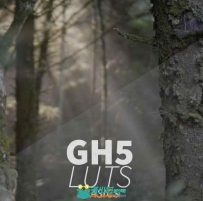 GH5luts影视级调色预设合辑 NEUMANN FILMS GH5 LUTS