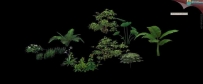 一些带通道的花草植物3D模型