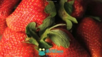 新鲜饱满草莓翠绿叶子水果高清实拍视频素材
