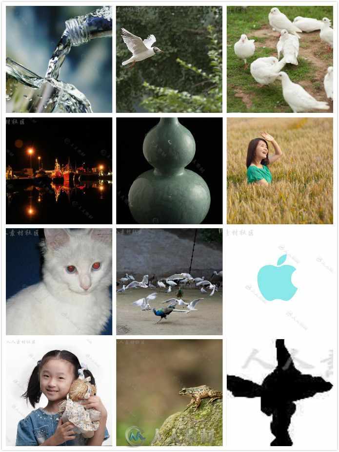 102238t0u3y0esymuxz4r0.jpg