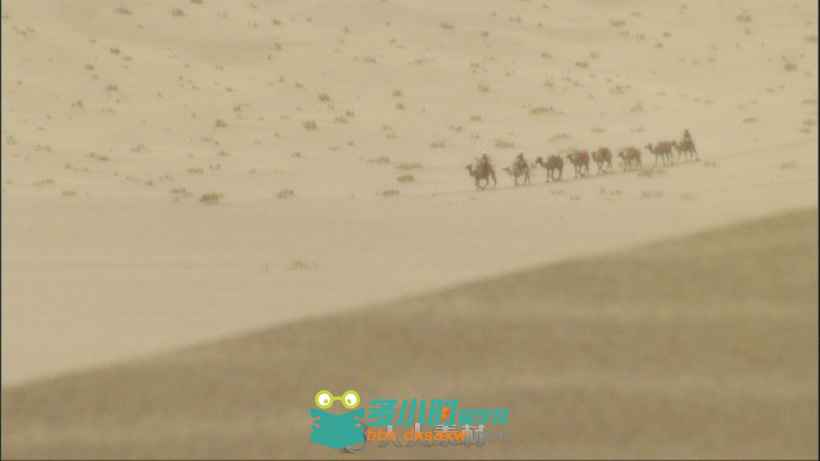 0312-沙漠骆驼队4.mov_20160413_151917.578.jpg