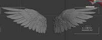 多套【天使的翅膀】 3D模型