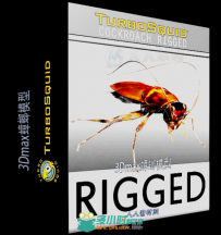 3Dmax蟑螂模型TurboSquid - Cockroach Rigged