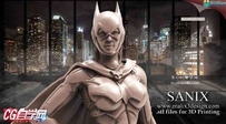【女蝙蝠侠】人物角色 3D打印模型