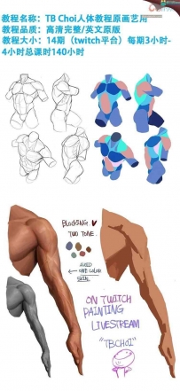 【TB Choi 】韩国美女概念设计师原画人体肌肉结构教程视频14季完整收集！10G