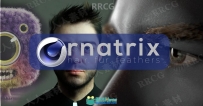 Ephere Ornatrix头发毛发C4D插件V2.0.10.2620版