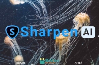 Topaz Labs Sharpen AI人工智能锐化软件V1.4.0版