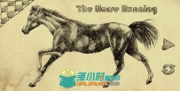 素描风格奔腾野马视频素材 Videohive The Horse Running 1825944 Motion Graphics