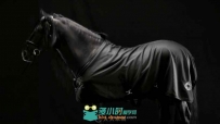 欧美时尚广告赏析 Hermès爱马仕广告.black.rider.720p