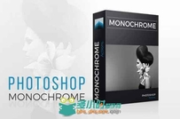 单色氛围调色特效PS动作 Creativemarket Monochrome Photoshop actions set 348794