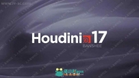 SideFX Houdini FX影视特效制作软件V17.0.459 Win版