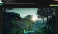 UE4热带雨林场景3D模型素材