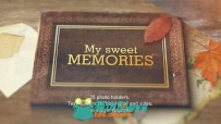 怀旧美妙生活相册动画AE模板 Videohive Old Memories Album Gallery 9788145