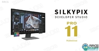 SILKYPIX Developer Studio Pro数码照片处理软件V11.0.4.0版