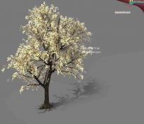 3dsmax白色花树CG3D模型下载