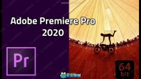 Premiere Pro CC 2020非线剪辑软件V14.6.0.51版