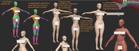 女人体标准布线 3D模型免费分享