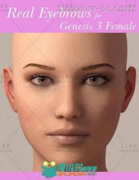 女性角色完整真实的自定义眉毛形状3D模型合辑