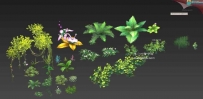 3D带有仙气的植物花草树木石头大合集 MAX模型
