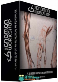 人物角色手臂结构完整剖析视频教程 The Gnomon Workshop Anatomy Workshop Volume ...