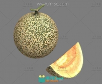 现实一个哈密瓜的3D模型