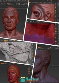 ZBrush自动拓扑工具训练视频教程 Managing Edge Flow in ZBrush