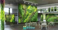 40组高精度室内垂直装饰陈设植物植被绿植3D模型合集