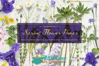 春季花和道具场景展示PSD模板Spring Flower Props &Mockups