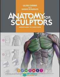 素材资料Anatomy for Sculptors艺用人体解剖结构参考图片