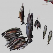 渔市 渔摊 渔贩 鱼堆3D模型下载