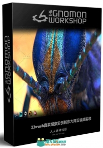 Zbrush真实昆虫实例制作大师级视频教程