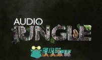 AudioJungle系列配乐素材合辑第八季 AudioJungle Bundle 2014 vol. 8
