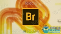 Adobe Bridge CC 2022资源管理软件V12.0.3.270版