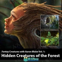 森林魔法精灵概念设计数字绘画实例训练视频教程
