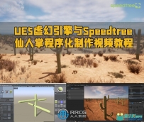 UE5虚幻引擎与Speedtree逼真仙人掌程序化制作视频教程