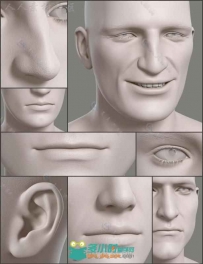 超精细男性面部区域3D模型合辑