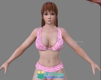 DOA5角色3D精品模型 漂亮的泳衣女 MAX+OBJ
