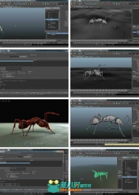 Maya昆虫蚂蚁动画实例训练视频教程 Digital-Tutors Creating Procedural Animation...