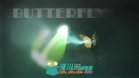 美丽蝴蝶飞舞Logo演绎动画AE模板 Videohive Butterfly Logo Reveal 6280982 Projec...