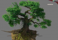 3dsmax植物观赏大树CG模型下载
