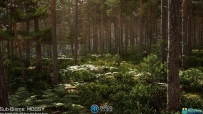 苏格兰松树森林树木植物环境场景UE游戏素材