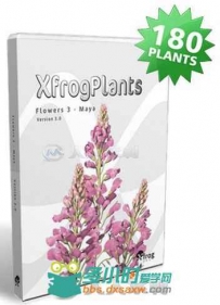 花朵盆栽植物3D模型合辑 XfrogPlants Flowers 3
