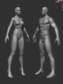 zbrush男体 女体角色3D高模 裸模型