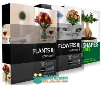 盆栽植物3D模型合辑 CGAxis Models Volume 21 26 and Convexshapes 3D Potted Plants