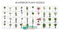 VP室内植物3dsmax插件 VIZPARK Interior Plants for 3ds Max