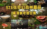326张奇幻森林蘑菇高清参考图合集