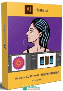 Illustrator CC 2019一对一基础技能训练视频教程