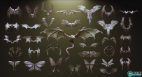 33组鸟昆虫蝙蝠龙生物机械翅膀雕刻3D模型合集