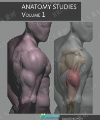 人体骨骼肌肉解剖学研究书籍+附姿势示意图