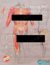 国外人体绘制剖析入门技术书籍